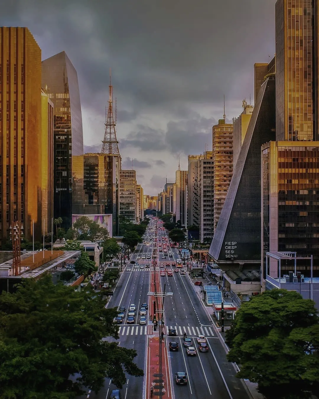 Paraíso ou Moema — qual bairro escolher em São Paulo