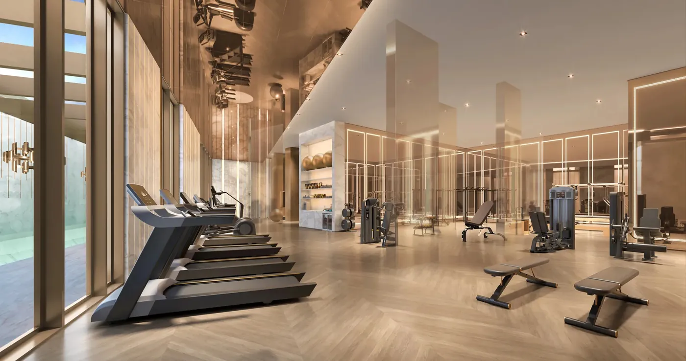 Saffire — Fitness