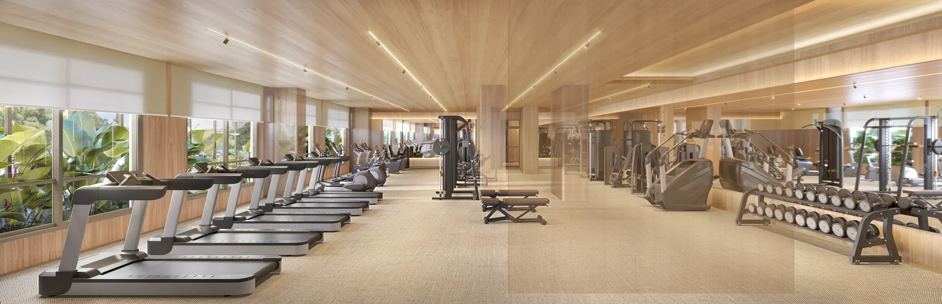 T.O.M. Paraíso — Fitness